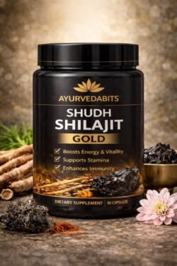 AyurvedaBits Shudh Shilajit Gold – Natural Energy, Stamina & Immunity Support AyurvedaBits Shudh Shilajit Gold capsules for energy, stamina and immunity